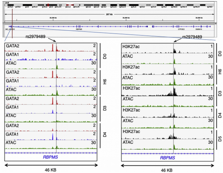 Figure 2