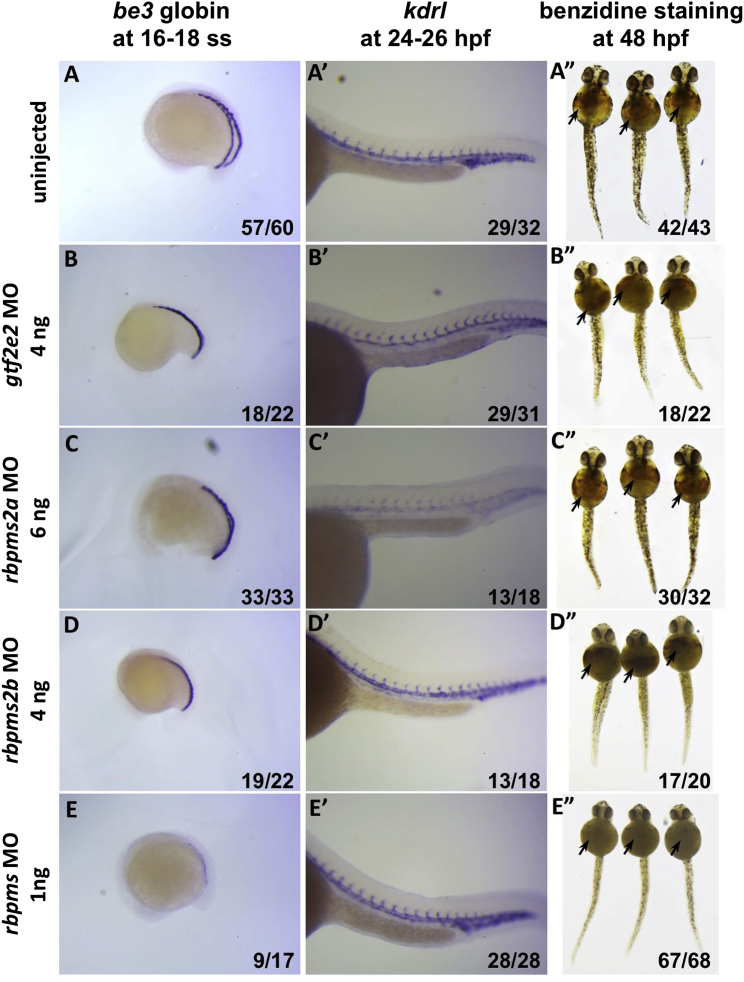 Figure 3