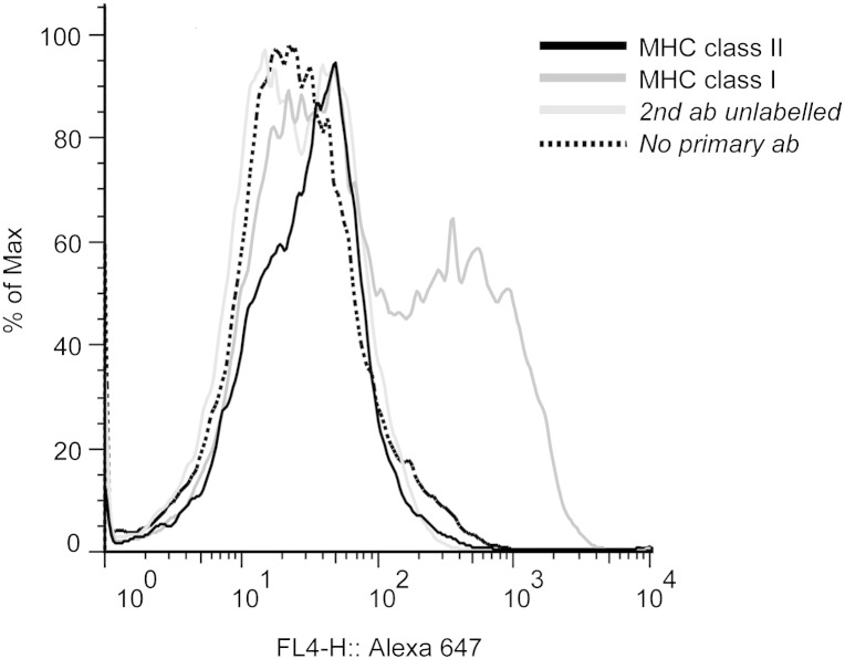 Fig. 2