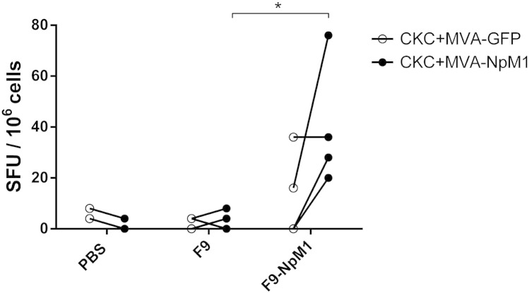 Fig. 5