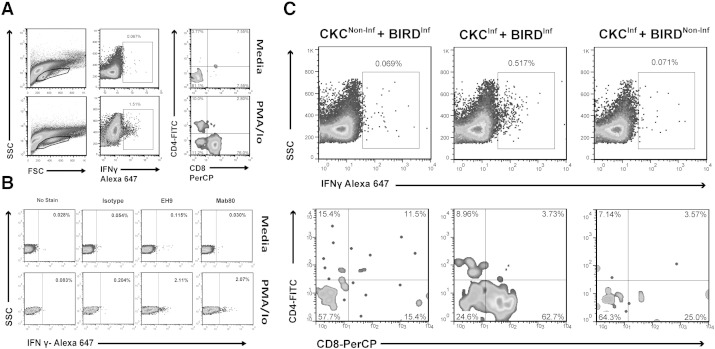 Fig. 4