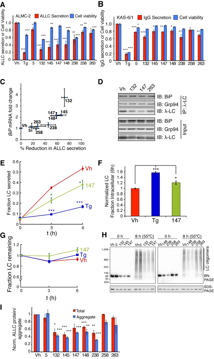 Figure 6—figure supplement 1.