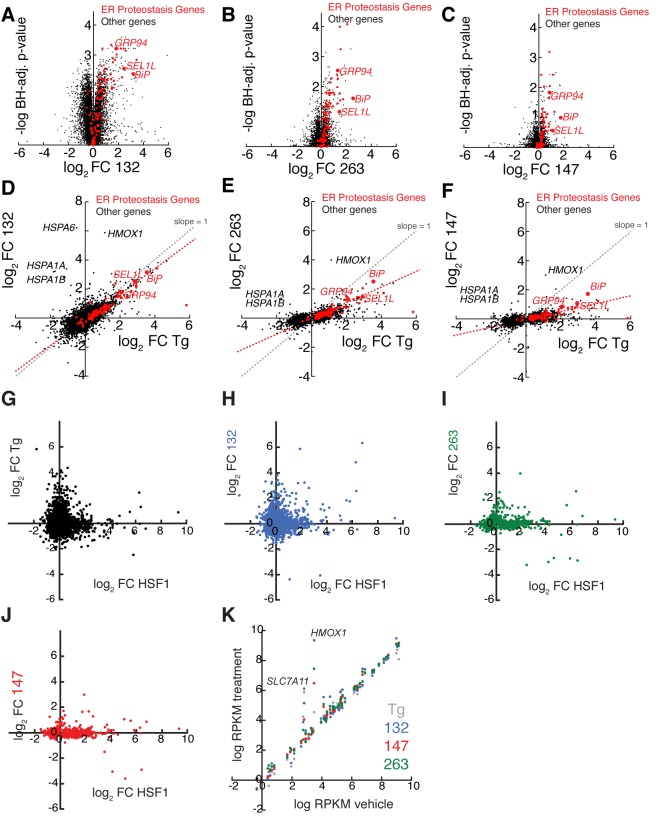 Figure 3—figure supplement 1.