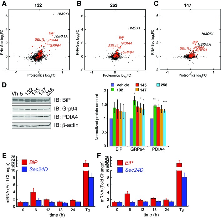 Figure 3—figure supplement 2.