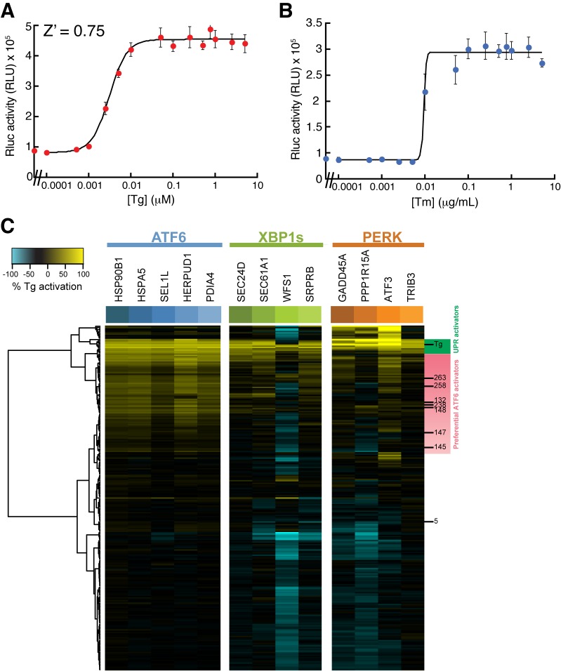 Figure 2—figure supplement 1.