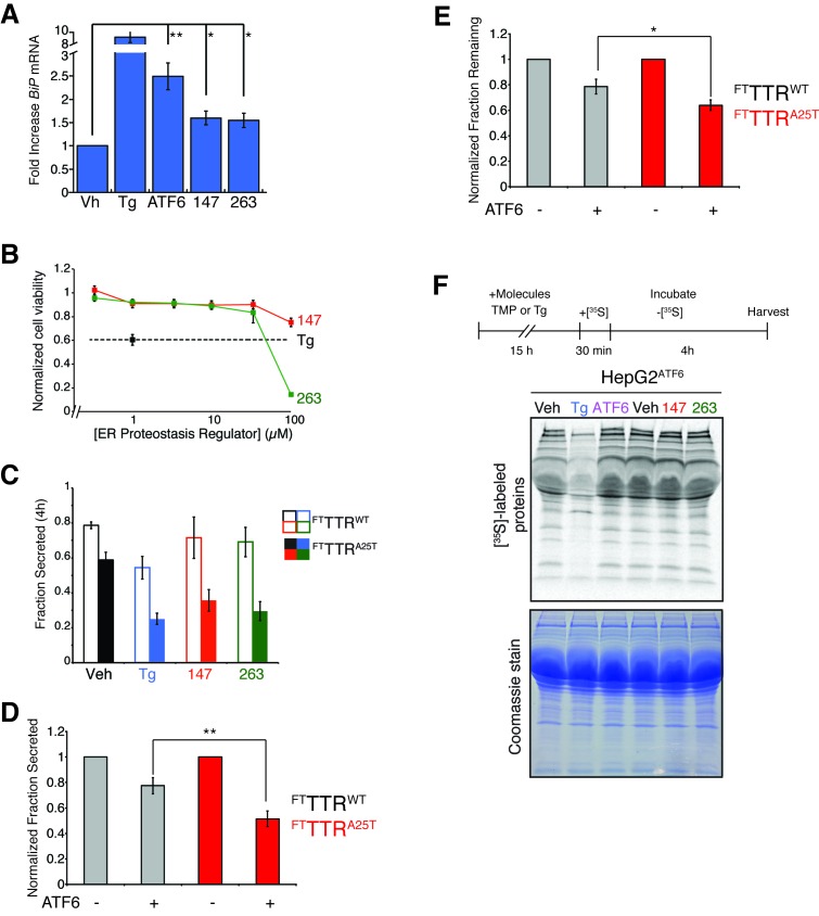 Figure 5—figure supplement 1.