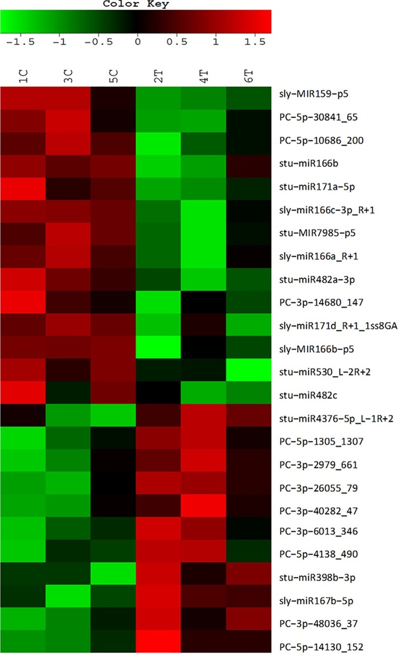 Fig 3