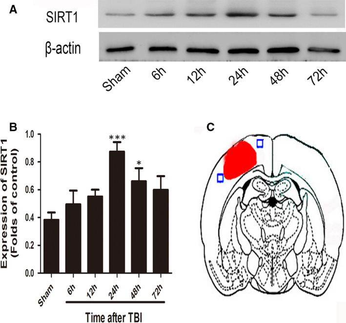 FIGURE 1