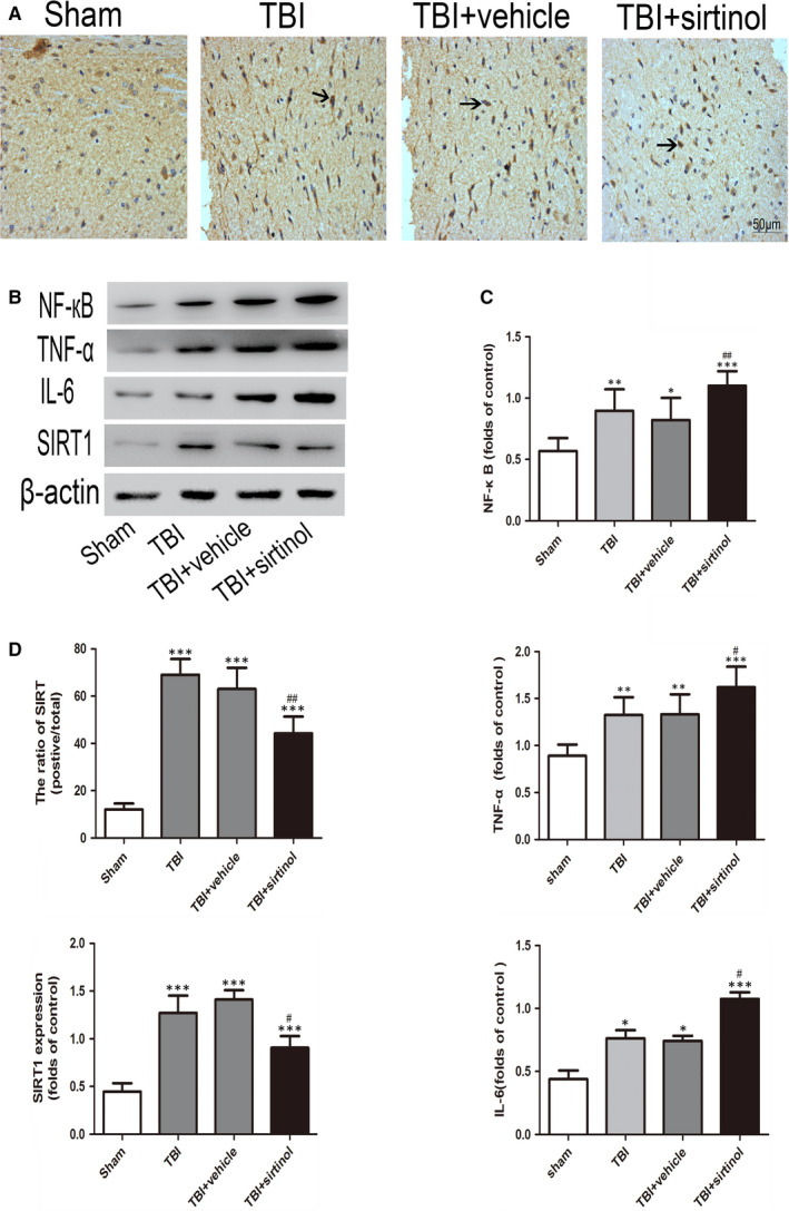 FIGURE 2