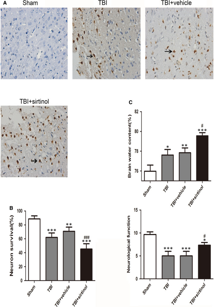 FIGURE 3