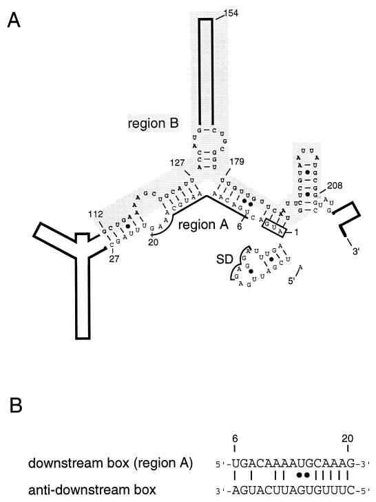 FIG. 1