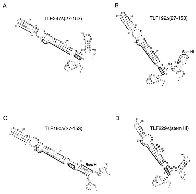 FIG. 5