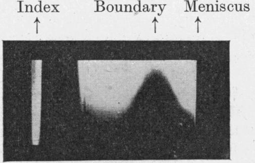 Fig. 1. (a)