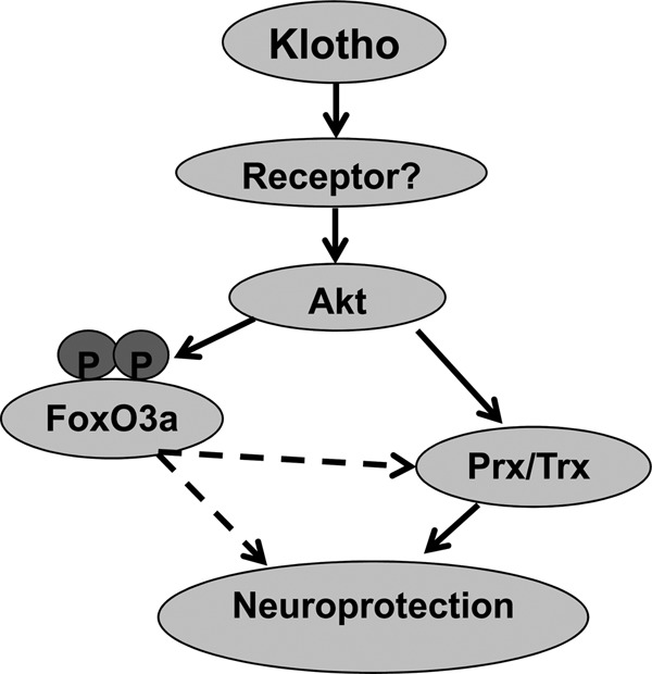 FIGURE 9.