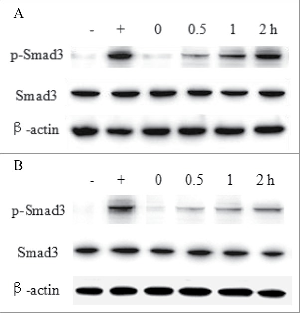 Figure 9.