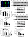 FIG 1