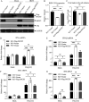 FIG 10