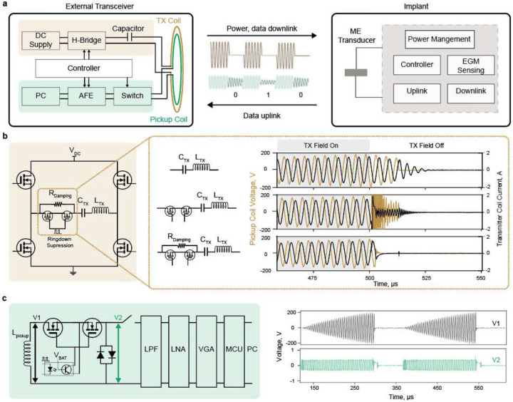 Fig.2|