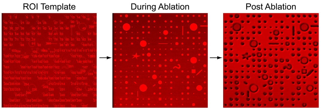 Figure 17