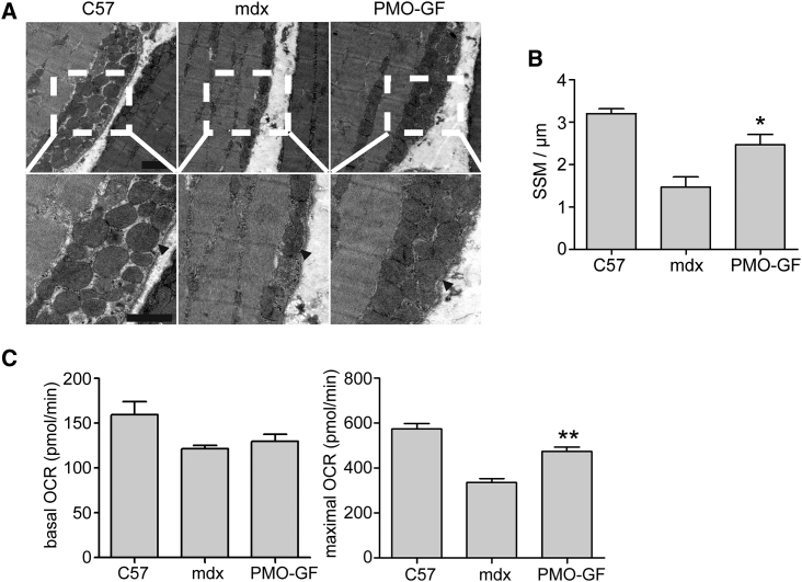 Figure 4