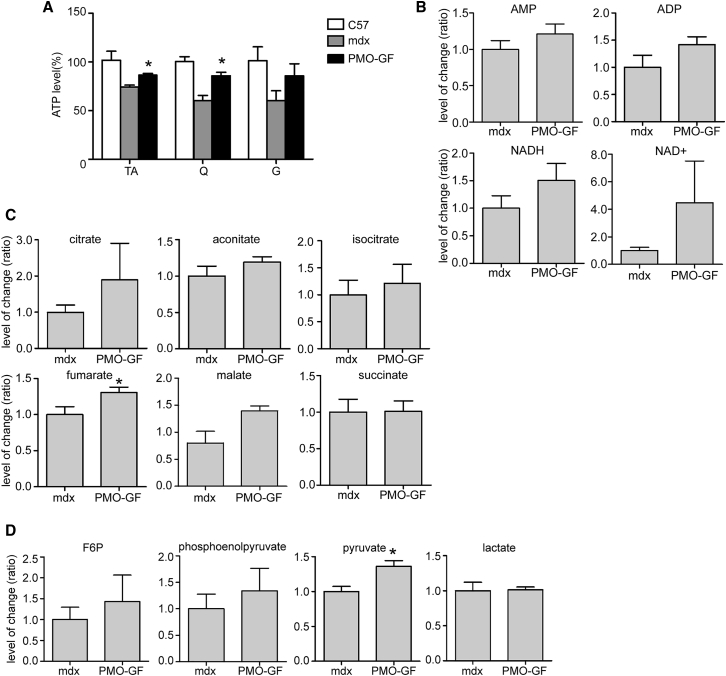 Figure 5