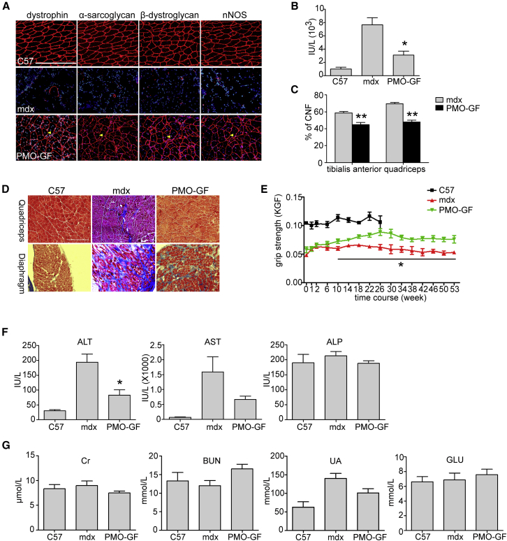 Figure 2