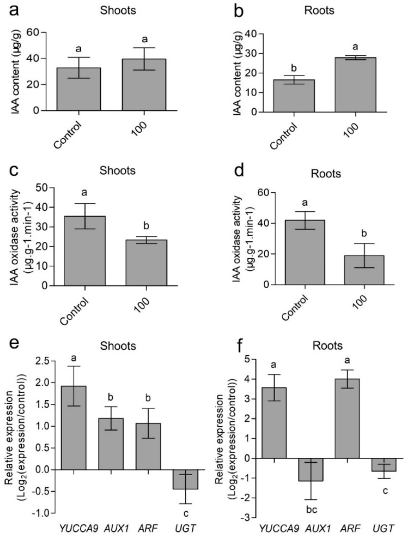 Figure 5