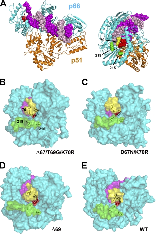 FIGURE 4.