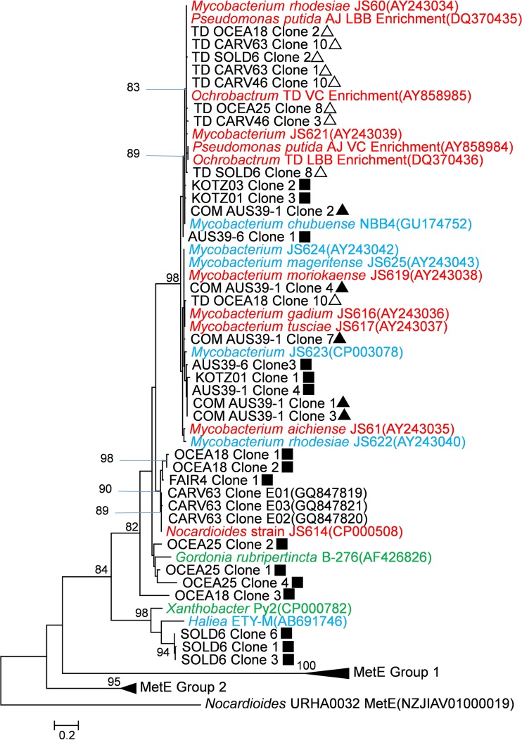 FIG 2