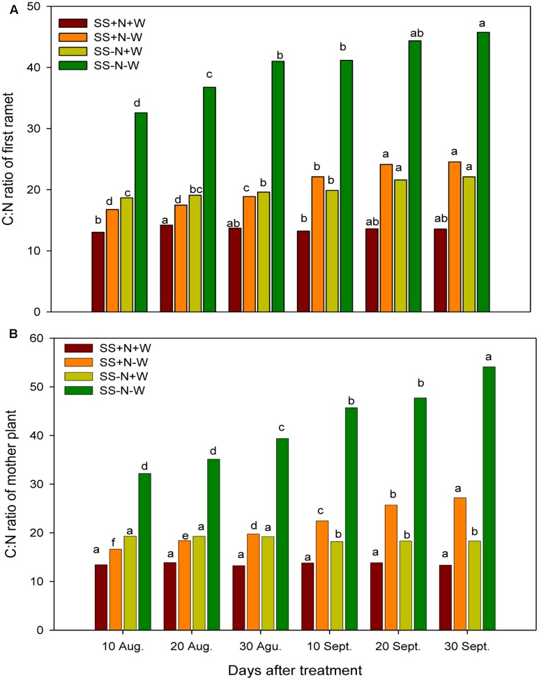 FIGURE 4