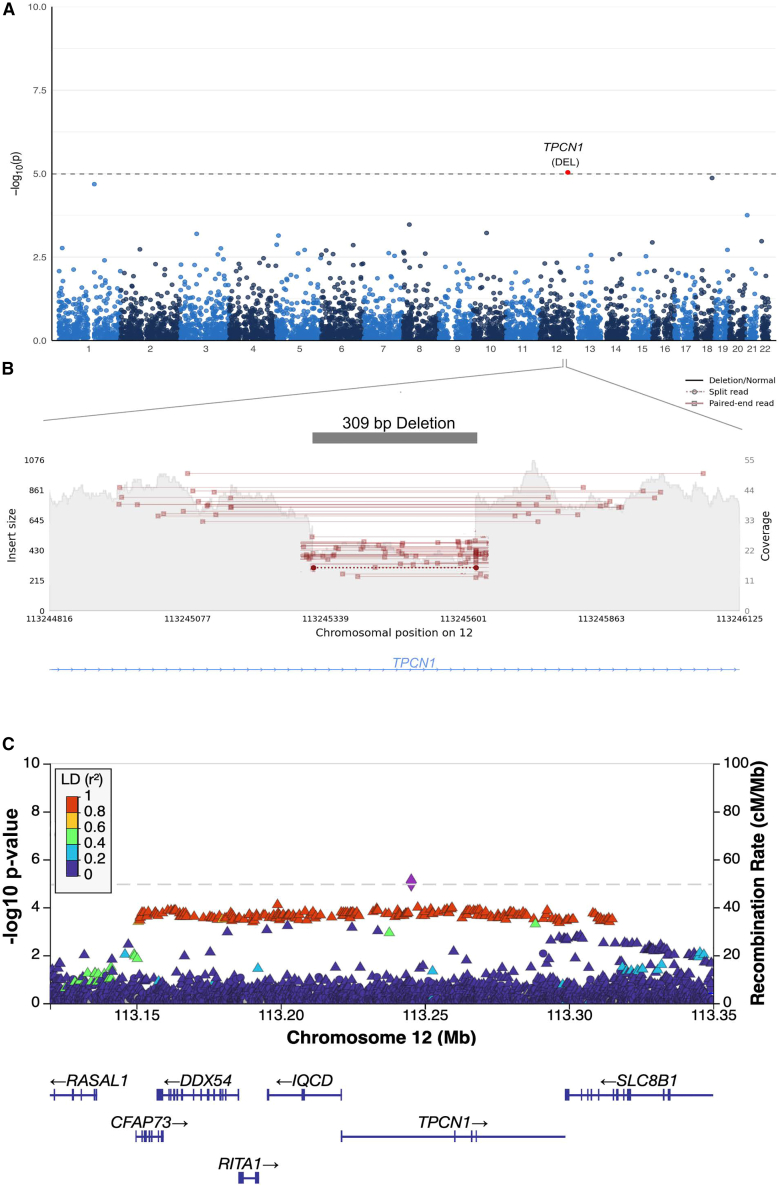 Figure 4