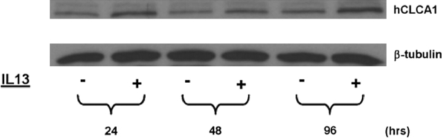 Figure 8.