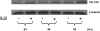 <b>Figure 8.</b>