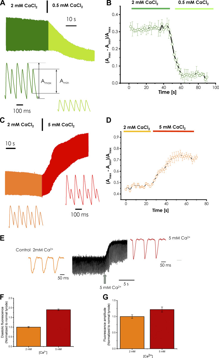 Figure 10.