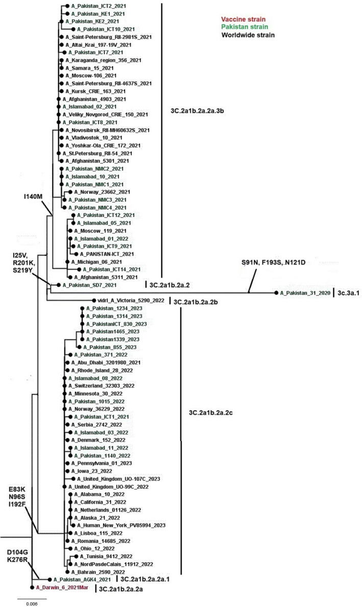 FIGURE 4