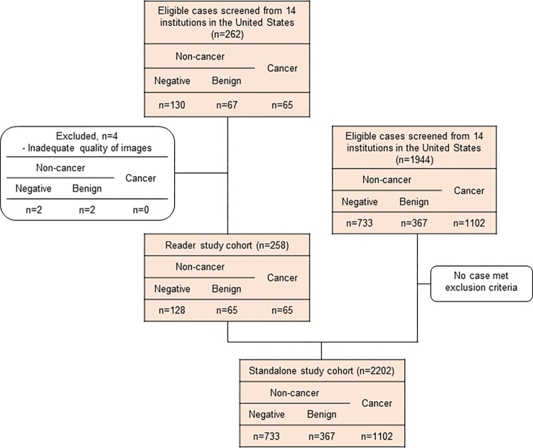 Case selection flowchart in the stand-alone study and the reader study. A total of 262 digital breast tomosynthesis (DBT) examinations were collected according to the inclusion criteria. Four cases were excluded because of inadequate image quality according to Mammography Quality Standards Act criteria in terms of positioning, compression, exposure level, dose, contrast, sharpness, noise, and artifacts. As a result, 258 cases including 65 cancers (25.1%) were enrolled in the reader study. To evaluate stand-alone artificial intelligence performance, 2202 DBT examinations were included, with a balanced distribution of demographics and cancer characteristics.