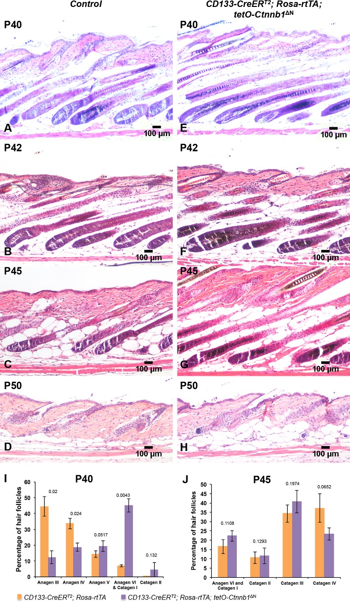 Fig 5