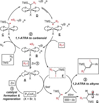 Scheme 7