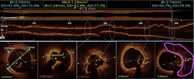 Supplementary Fig. 4