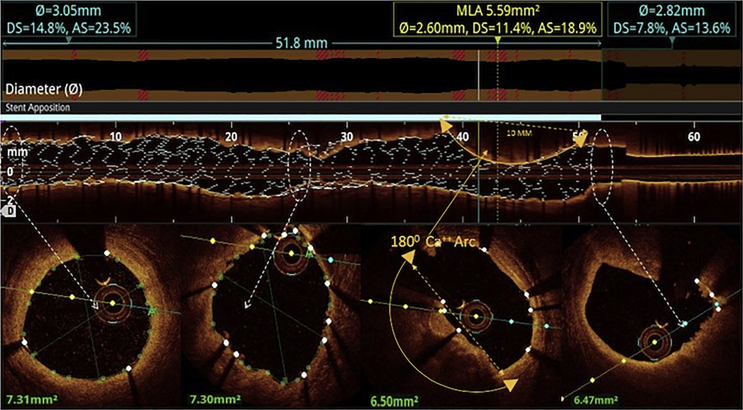 Supplementary Fig. 6