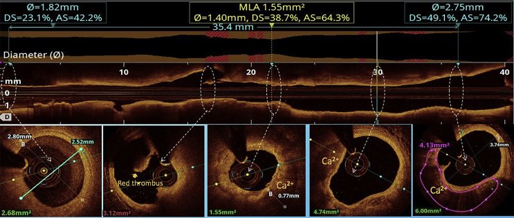 Supplementary Fig. 3