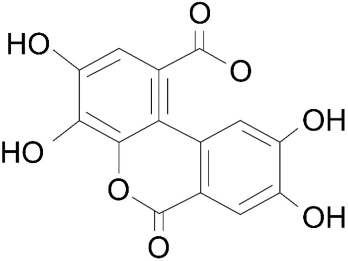 Figure 8