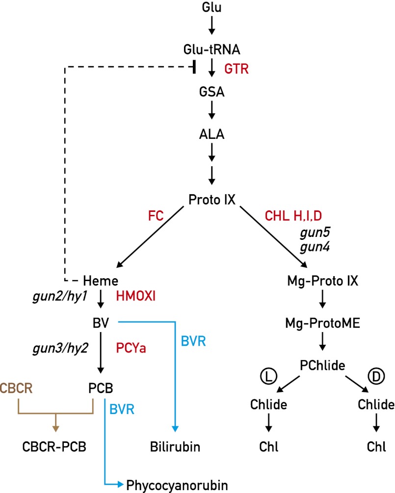 Fig. 1.