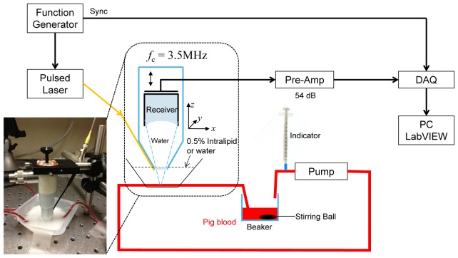 Fig. 1