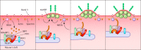 FIG 3