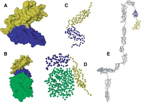 FIGURE 1.