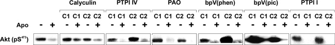 FIGURE 10.