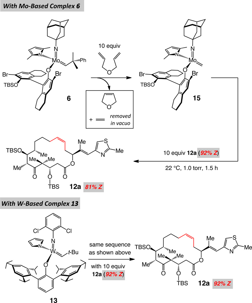 scheme 5