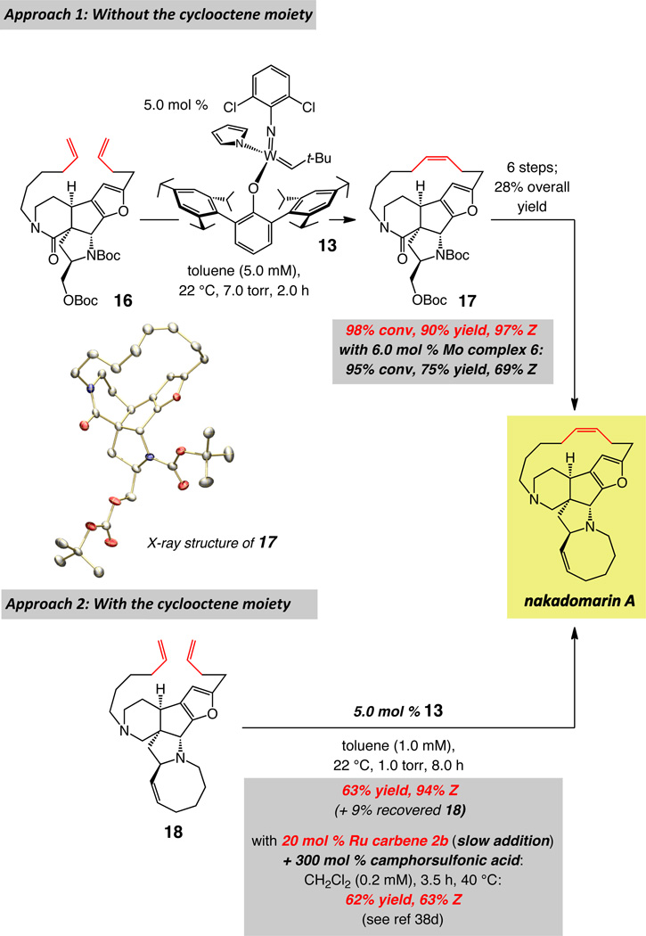 scheme 7