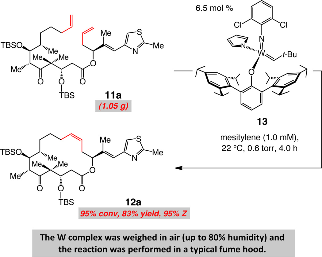 scheme 6